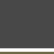 Radio Verdad Logo