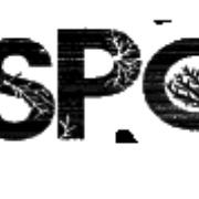 Bluespower - Party Radio FM Logo