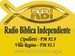 Radio Biblica Independiente Logo
