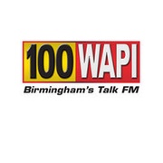 WAPI Logo