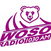 Total Radio - WOSO Logo