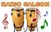 Radio Salson Logo