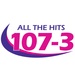 All The Hits 107.3 - WRQX Logo