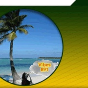 Vibes891 Logo