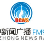 Hanzhong News Radio 956 Logo