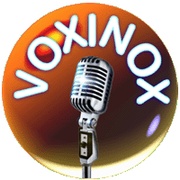 Voxinox Logo