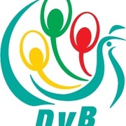 Democratic Voice Of Burma - Democratic Voice of Burma Logo