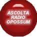 Radio Opossum Logo