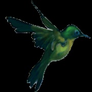 Hummingbird Radio Logo
