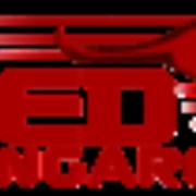 Radio Pirata Logo