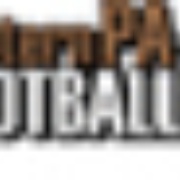 Red Zone Media Channel 17 Logo