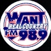 WANT - W263AI Logo