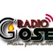 Radio Gosen Logo