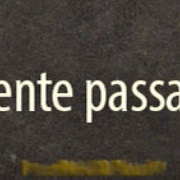 Radio Galo Branco Logo