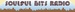 Soulful Bits Radio Logo