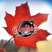 Velicham FM Logo