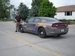 Scotts Bluff County Police Logo