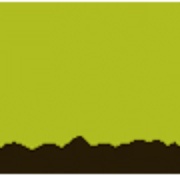 Smooth Jazz 107.5 WJZZ Logo