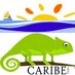 Radio Caribe 104.9 FM Logo
