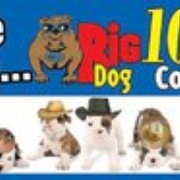 Big Dog Country Radio WUUF-FM Logo