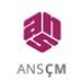 ANS CM 102.0FM Logo