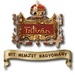 Szent Istvan Radio - 95.1 FM Miskolc Logo