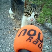 Novi radio - Zadar Logo