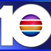 Local 10 WPLG Logo
