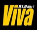 FM Viva 91.1 Logo