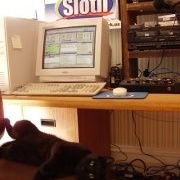 Sloth Radio NetWork Logo