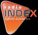 Radio Index Logo