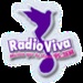 Radio Viva 95.3 FM Logo