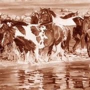 Ranch & Reata Logo