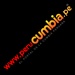 Radio Perucumbia Logo