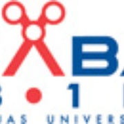 Radio Naba Logo