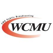 WCMZ-28 Flint Logo