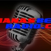 The Buzz - WLHM Logo