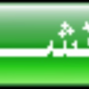 SRTC Wadi Logo
