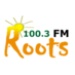 Roots FM 100.3 Logo