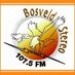 Bosveld Stereo Logo