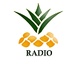 Ananaz Radio Logo
