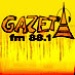 Gazeta FM 88.1 Logo