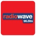 Radio Wave 96.5 Logo