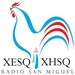 XESQ Radio San Miguel - XESQ Logo