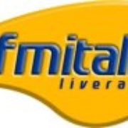 FM Italia Logo