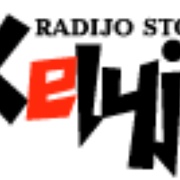 Radijo Stotis Kelyje Logo