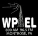 WPEL - W221AS Logo