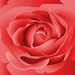 SKY.FM Radio - Love Music Logo