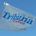 Tribuna Radio - XERSV Logo