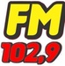 Rádio Vida Fortaleza FM 102.9 Logo